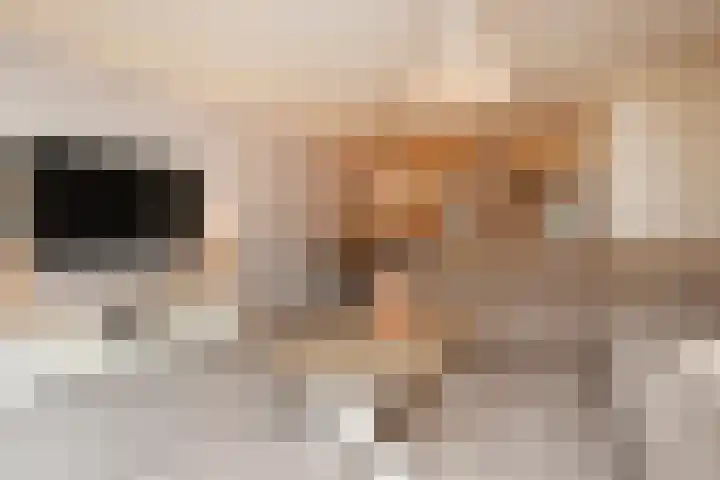 Paul Steenbergenlaan 104 Den Haag thumbnail 10