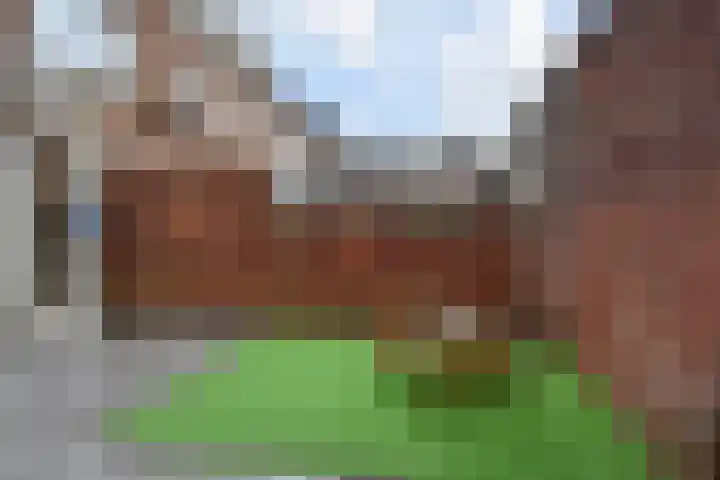 Paul Steenbergenlaan 104 Den Haag thumbnail 20
