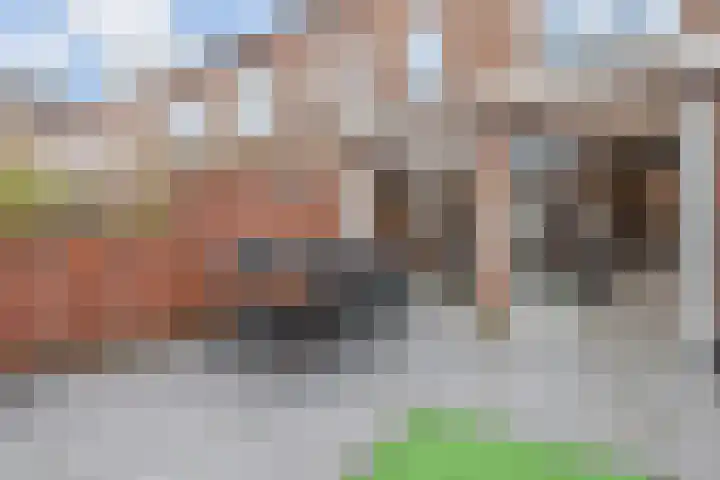 Paul Steenbergenlaan 104 Den Haag thumbnail 21