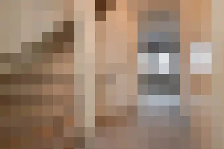 Paul Steenbergenlaan 104 Den Haag thumbnail 33