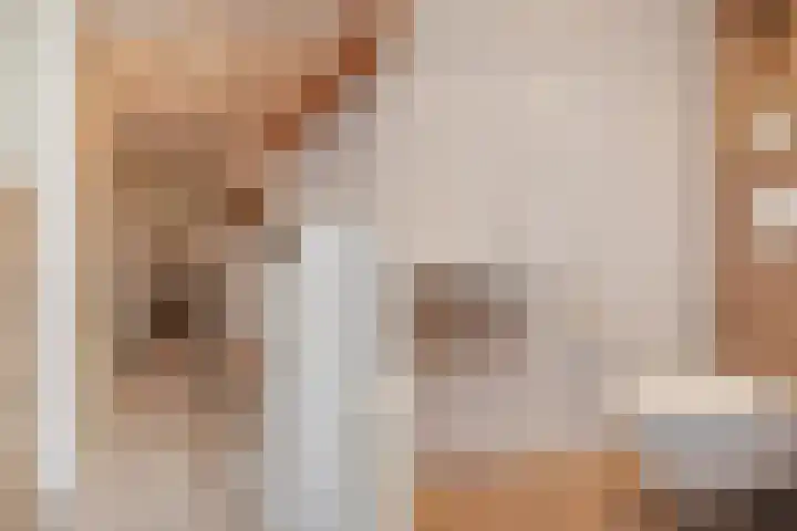 Paul Steenbergenlaan 104 Den Haag thumbnail 6