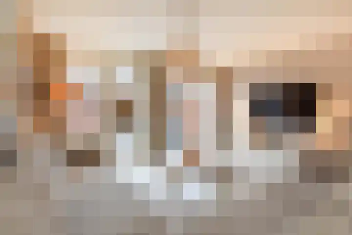 Paul Steenbergenlaan 104 Den Haag thumbnail 9