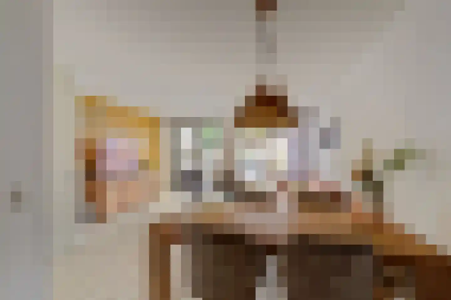 Paul Steenbergenlaan 48 Den Haag thumbnail 17