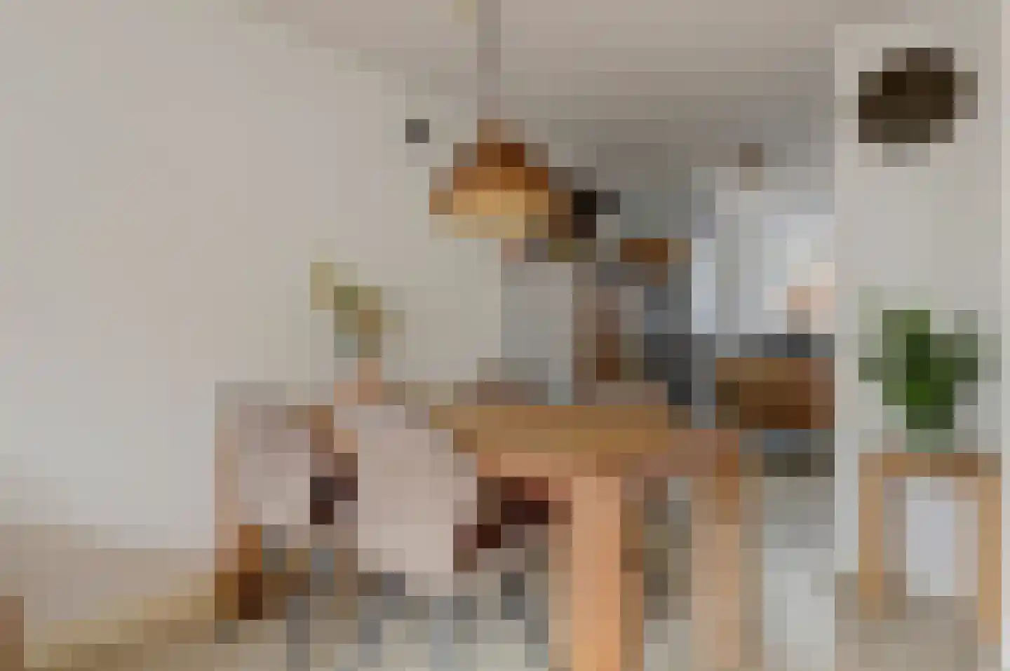 Paul Steenbergenlaan 48 Den Haag thumbnail 18