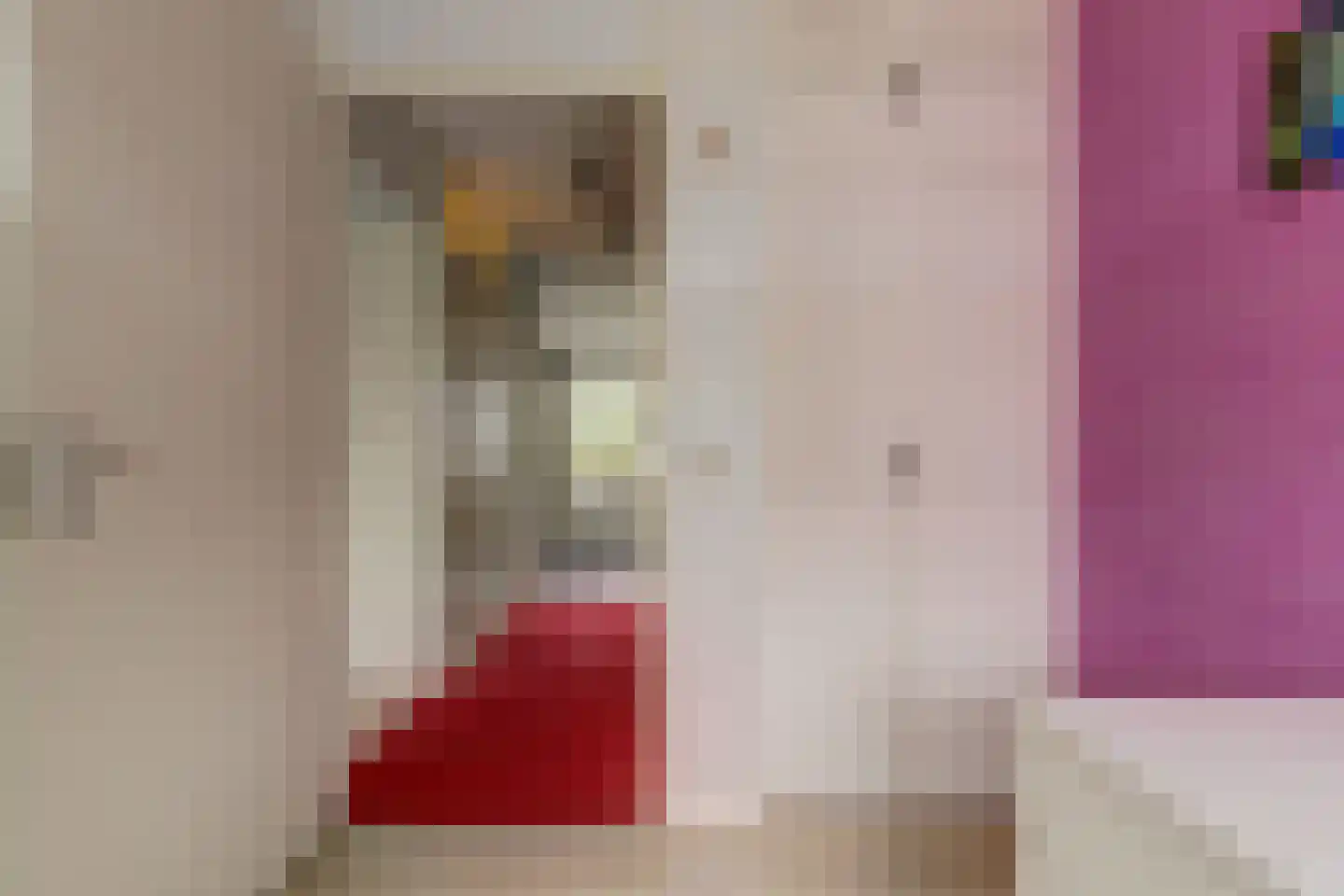 Paul Steenbergenlaan 48 Den Haag thumbnail 27