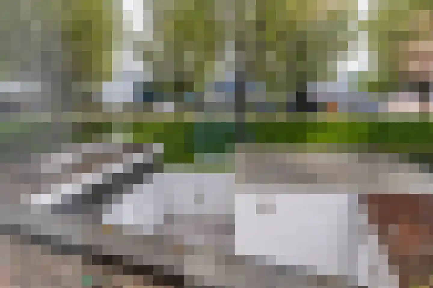 Paul Steenbergenlaan 99 Den Haag thumbnail 18