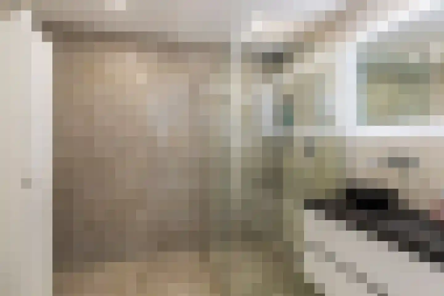 Paul Steenbergenlaan 99 Den Haag thumbnail 19