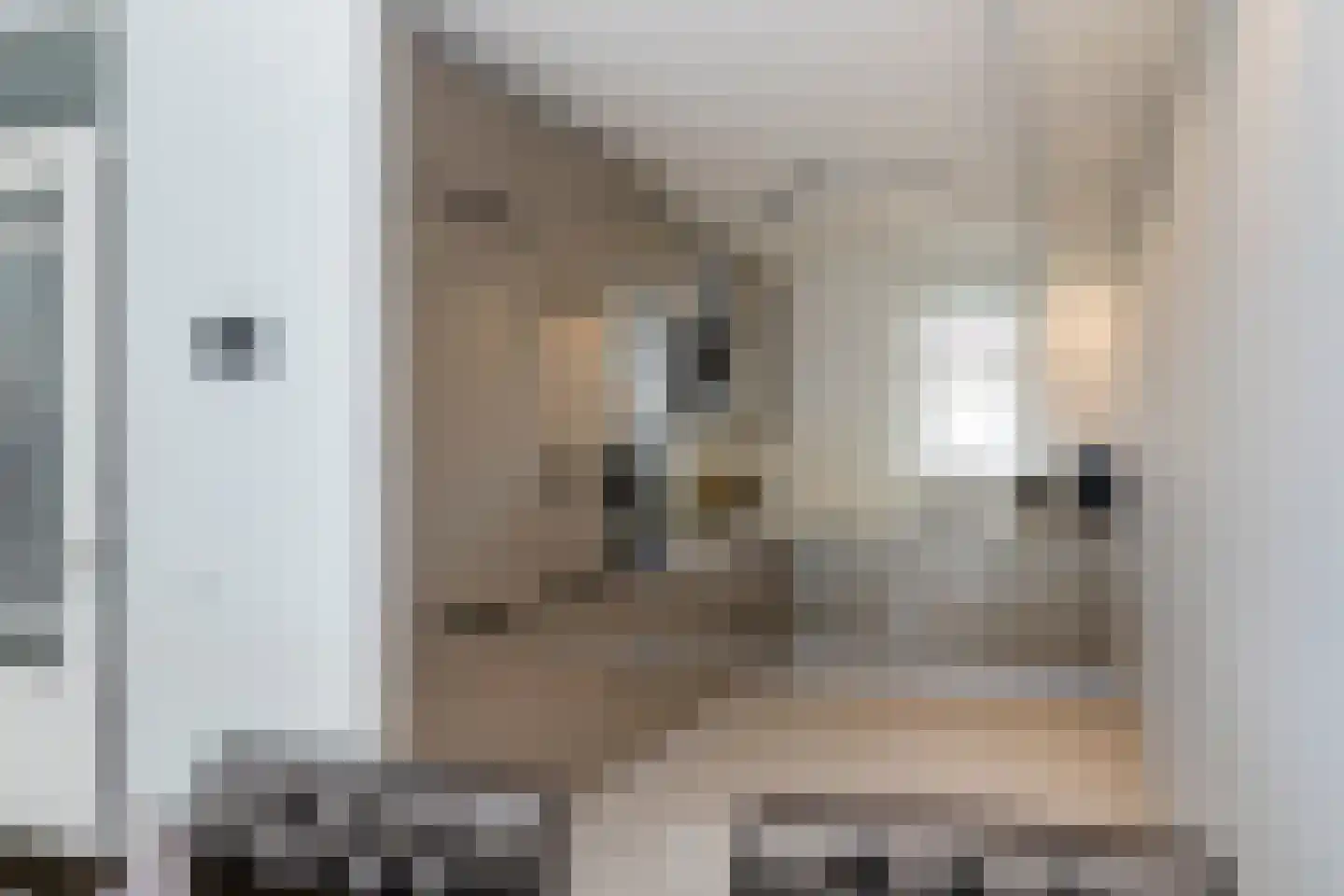 Paul Steenbergenlaan 99 Den Haag thumbnail 6
