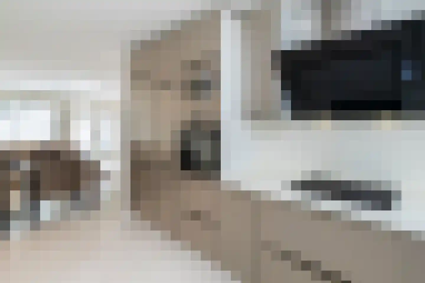 Paul Steenbergenlaan 99 Den Haag thumbnail 8