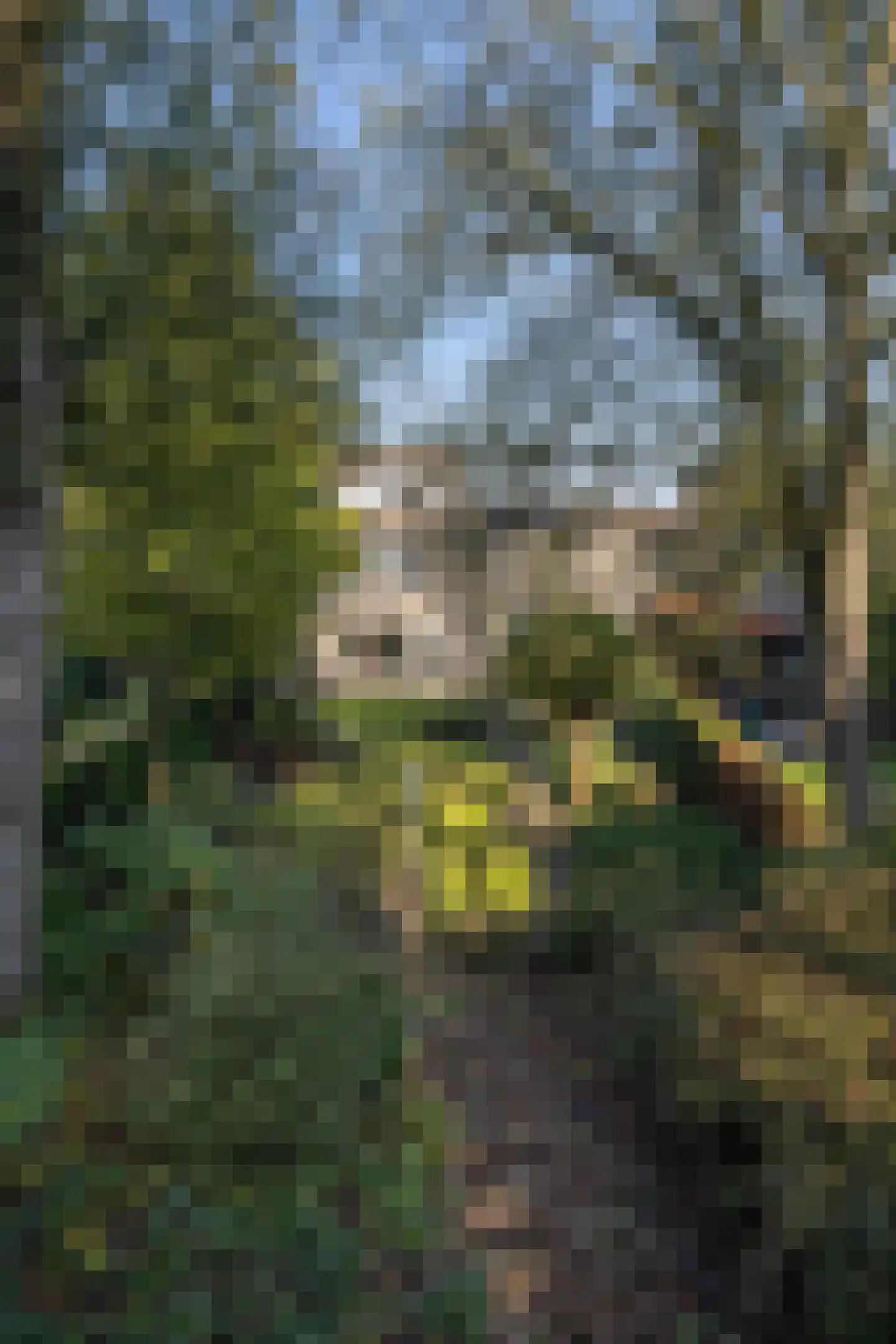 Paul van Kempenstraat 31 Hengelo thumbnail 29