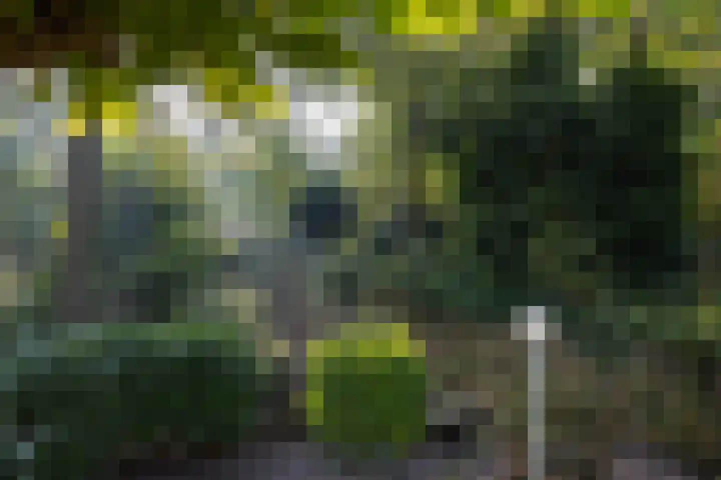 Paul van Kempenstraat 31 Hengelo thumbnail 33
