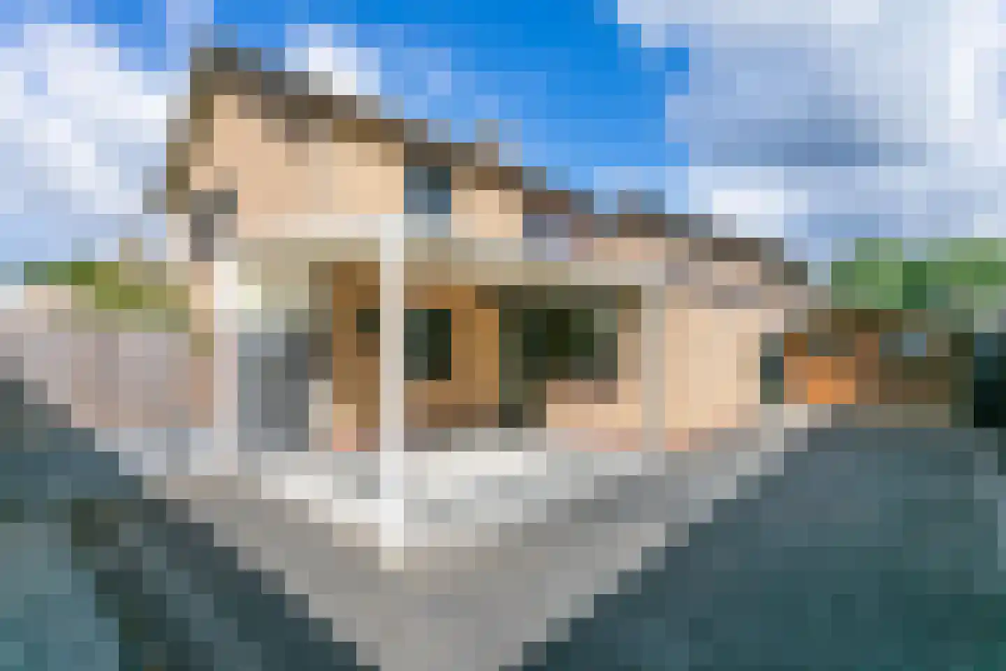 Paul van Ostaijenstraat 10 Landgraaf thumbnail 32