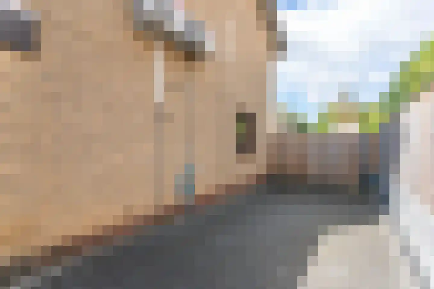 Paul van Ostaijenstraat 10 Landgraaf thumbnail 44