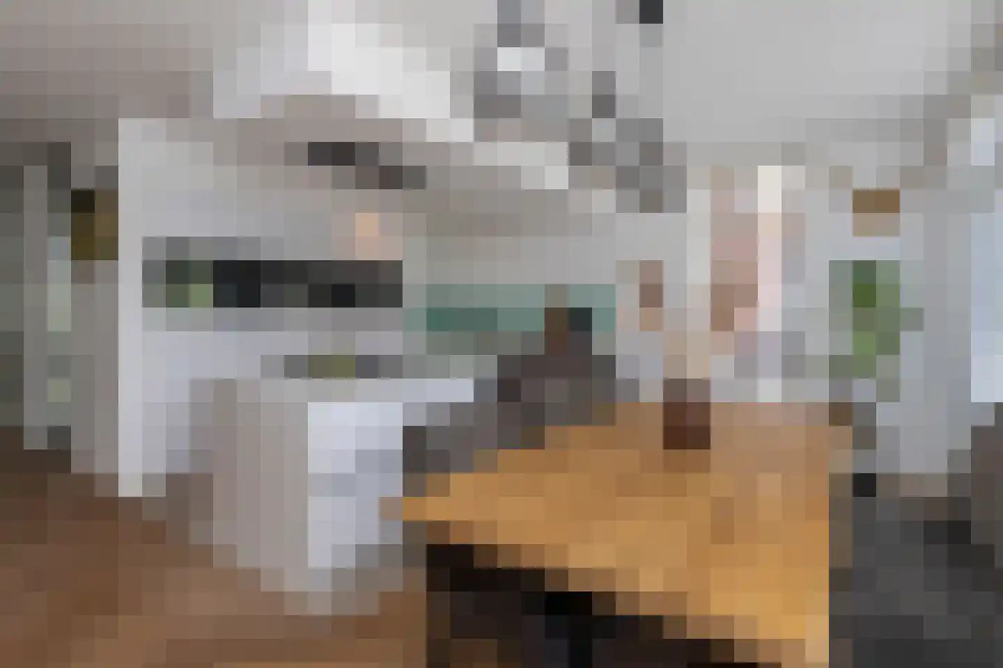 Paul van Ostaijenstraat 15 Den Haag thumbnail 9