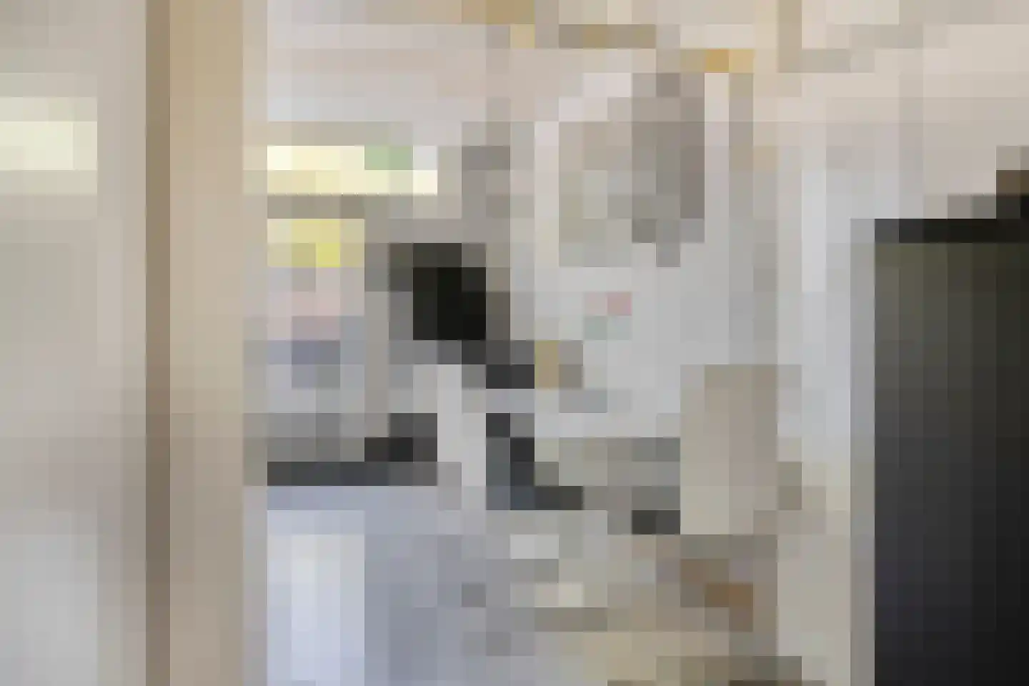 Paul van Zeelandlaan 2 Goes thumbnail 14