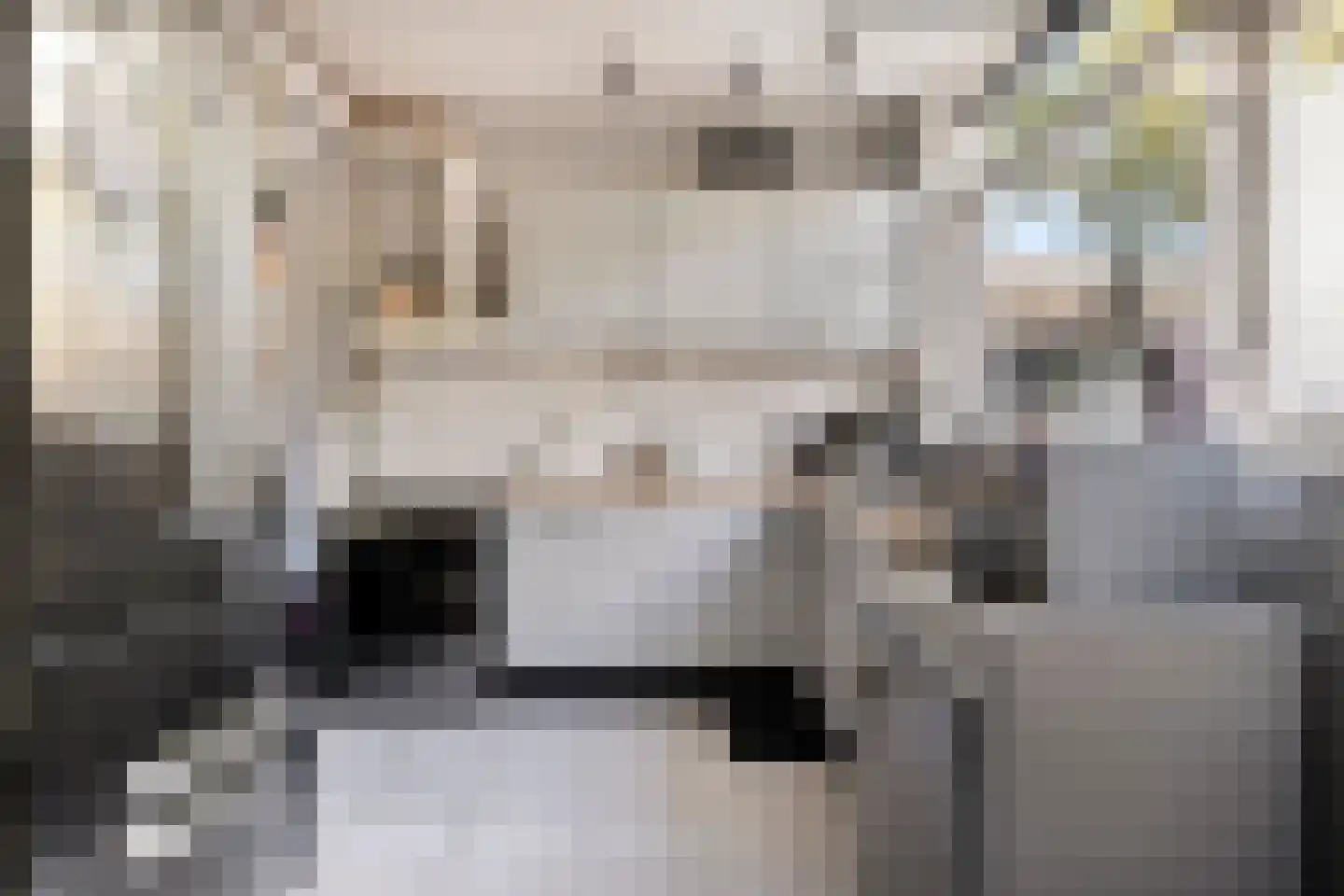 Paul van Zeelandlaan 2 Goes thumbnail 16