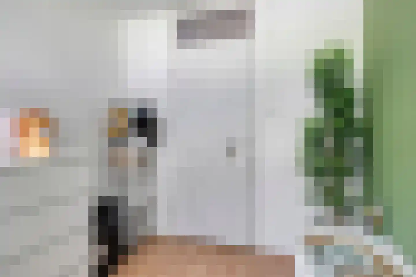 Paul van Zeelandlaan 2 Goes thumbnail 29