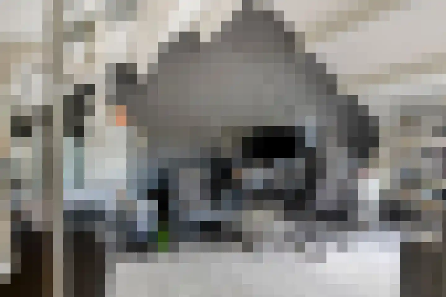 Paul van Zeelandlaan 2 Goes thumbnail 30