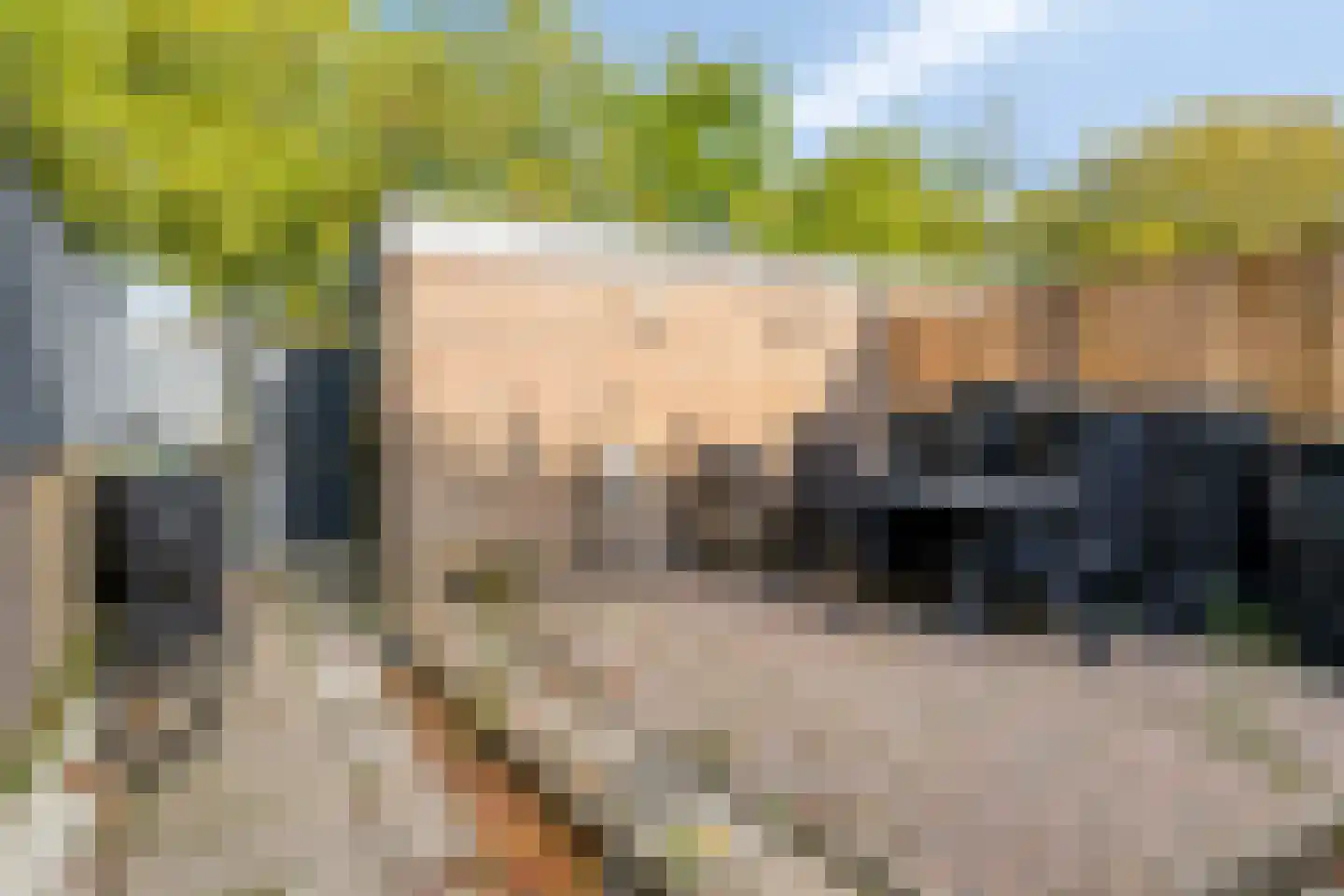 Paul van Zeelandlaan 2 Goes thumbnail 35