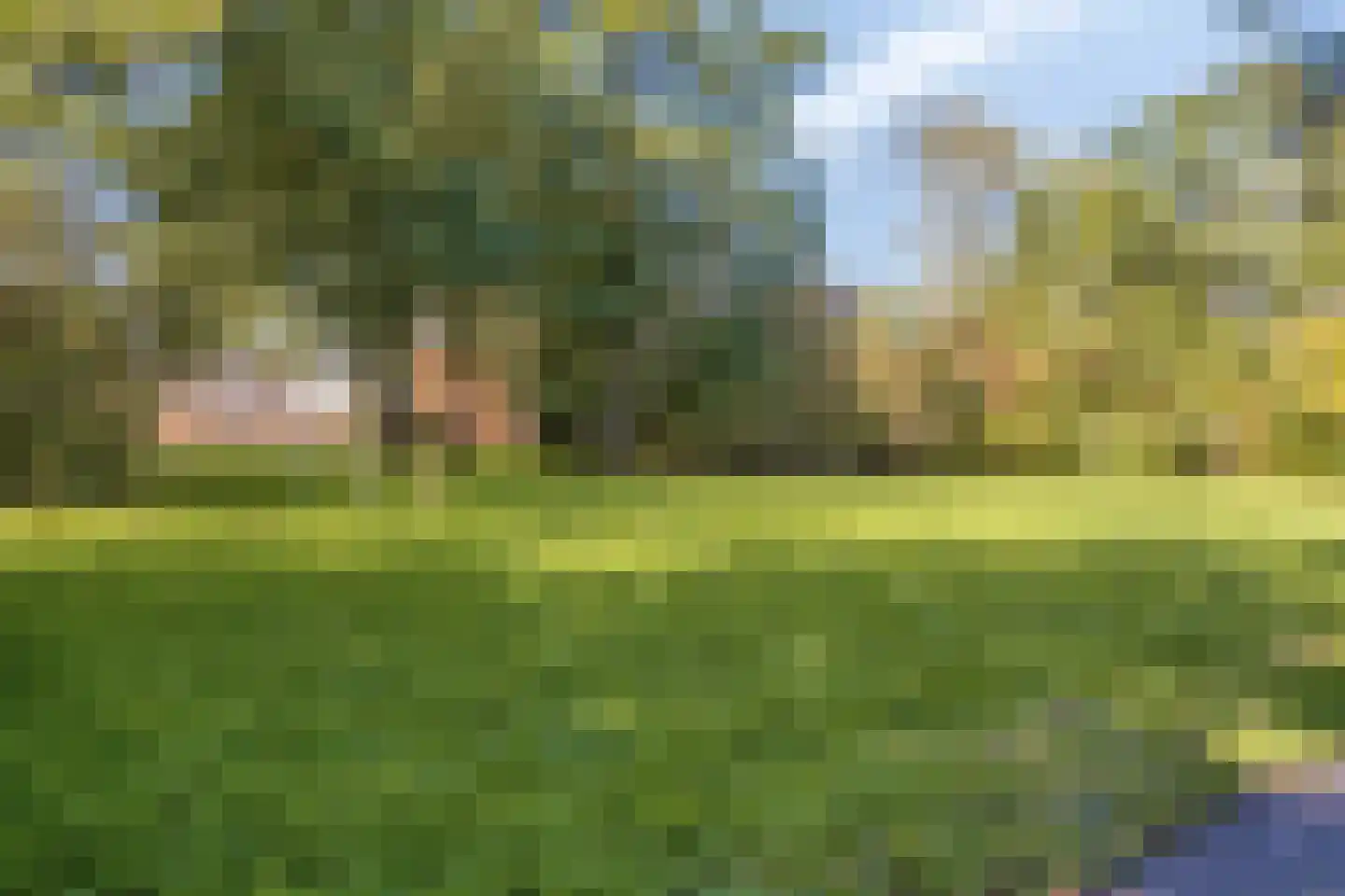 Paul van Zeelandlaan 2 Goes thumbnail 39