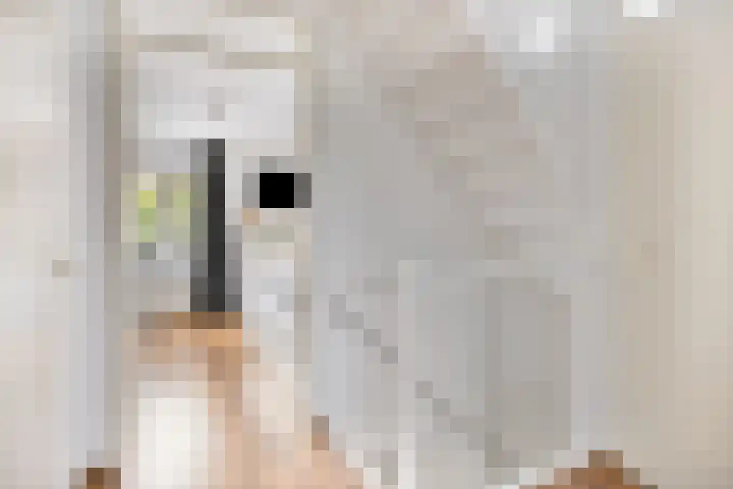 Paul van Zeelandstraat 7 Herten thumbnail 16