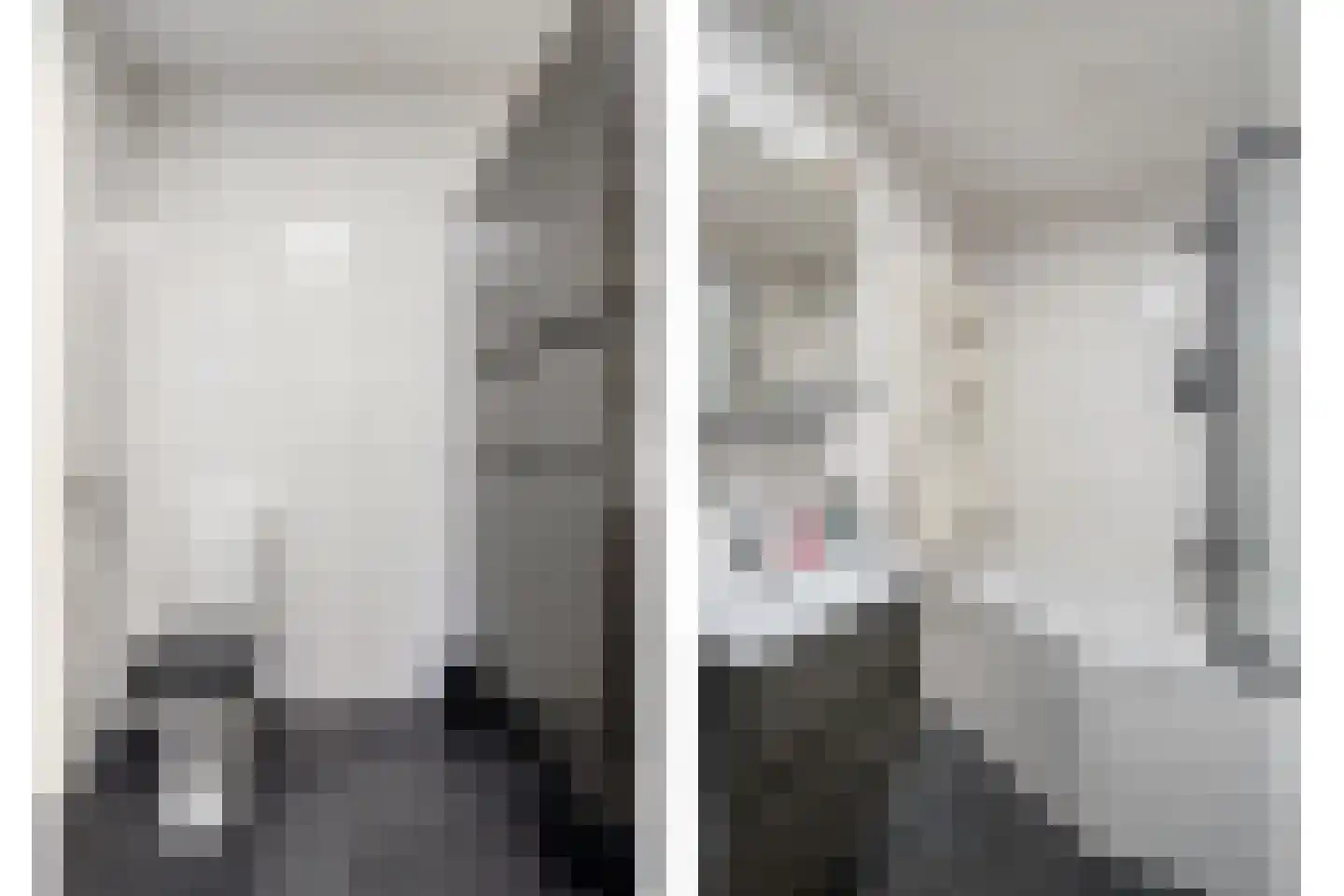 Paul van Zeelandstraat 7 Herten thumbnail 21