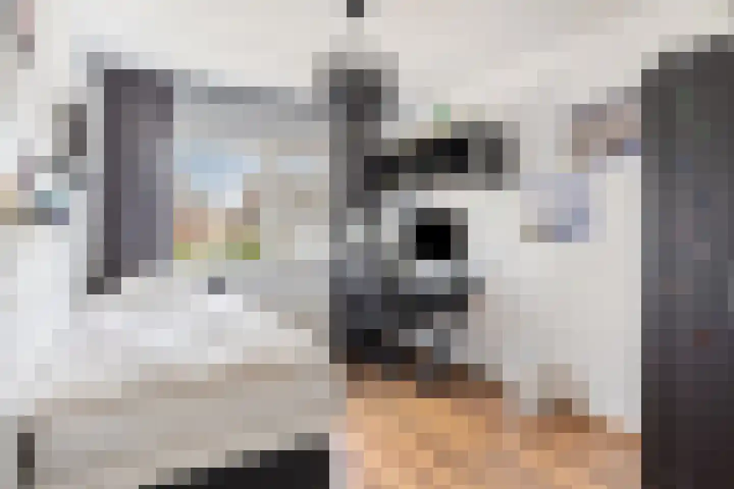 Paul van Zeelandstraat 7 Herten thumbnail 23