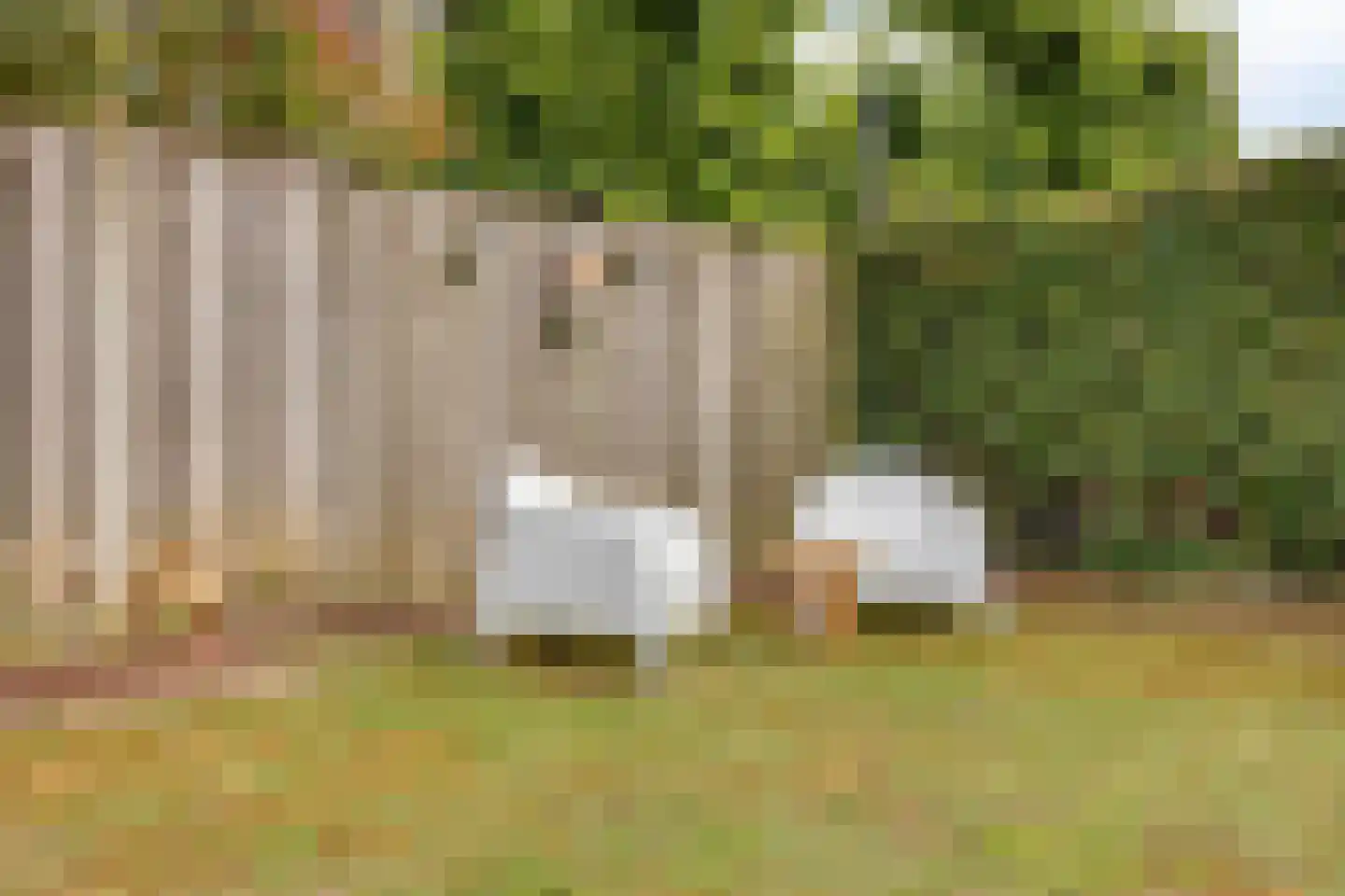 Paul van Zeelandstraat 7 Herten thumbnail 33