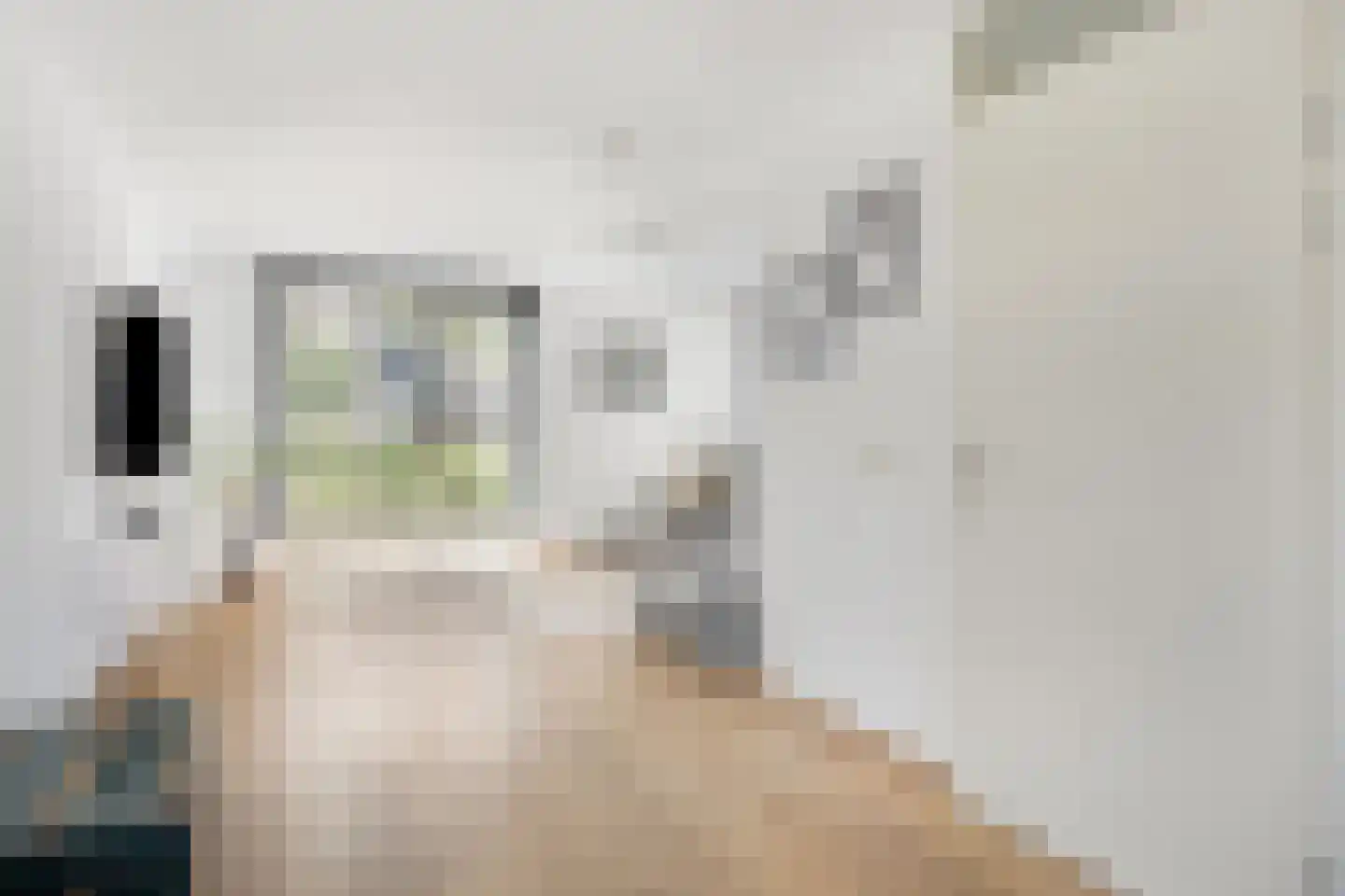 Paul van Zeelandstraat 7 Herten thumbnail 7