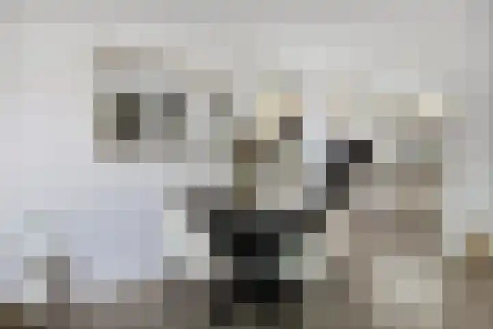 Paul Whitemansingel 22 Rotterdam thumbnail 18