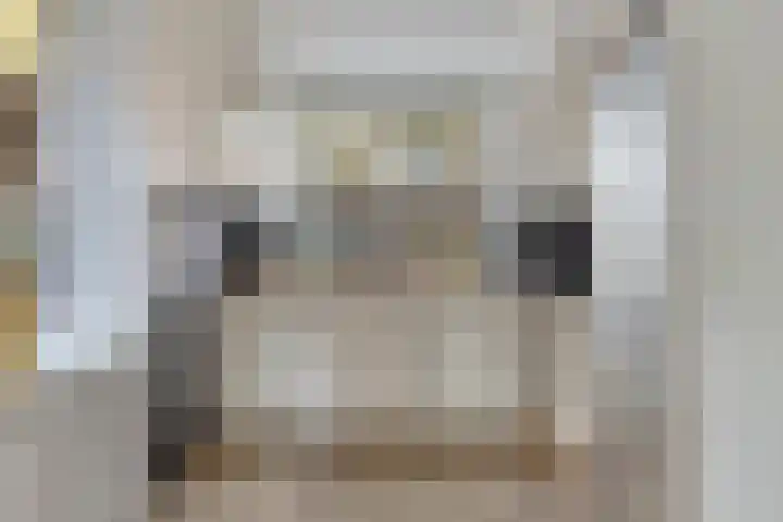 Paul Whitemansingel 22 Rotterdam thumbnail 19