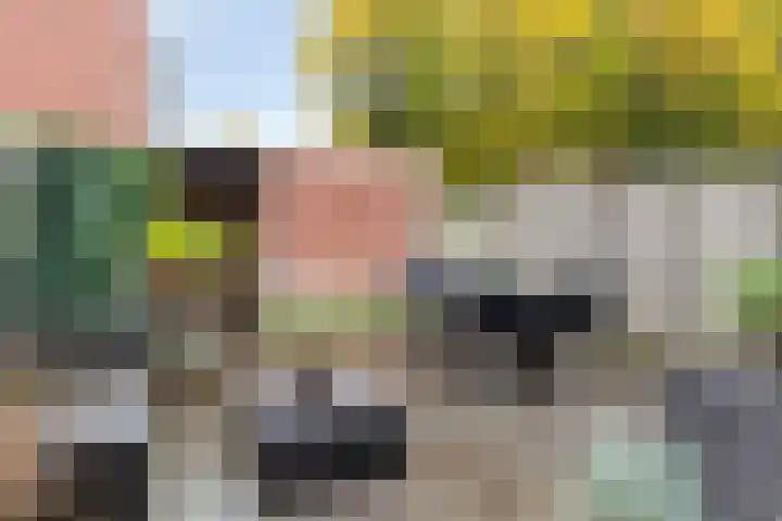 Paul Whitemansingel 22 Rotterdam thumbnail 33