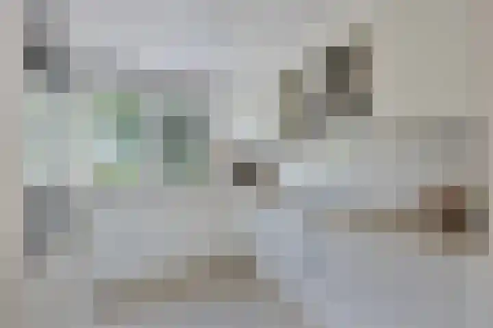 Paul Whitemansingel 66 Rotterdam thumbnail 17