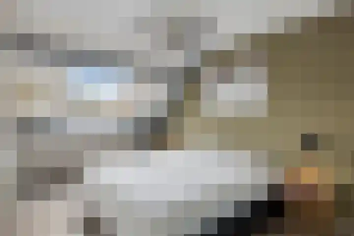 Paul Whitemansingel 66 Rotterdam thumbnail 23