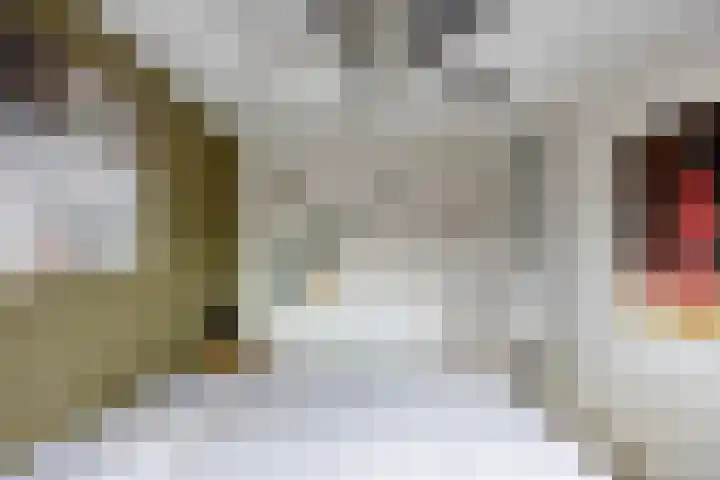 Paul Whitemansingel 66 Rotterdam thumbnail 25