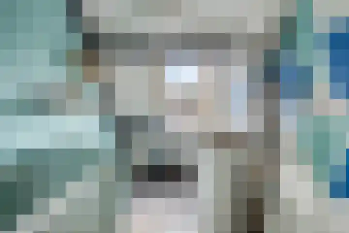 Paul Whitemansingel 66 Rotterdam thumbnail 32