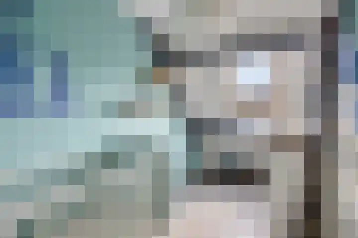Paul Whitemansingel 66 Rotterdam thumbnail 33