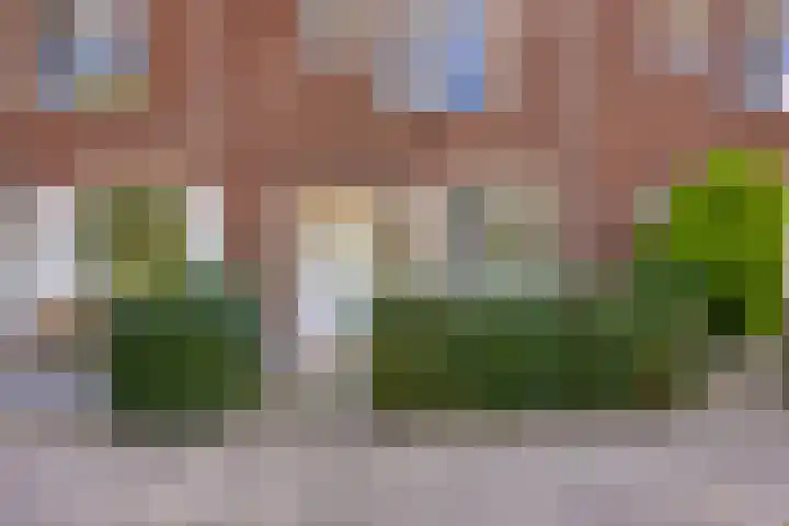 Paul Whitemansingel 66 Rotterdam thumbnail 8