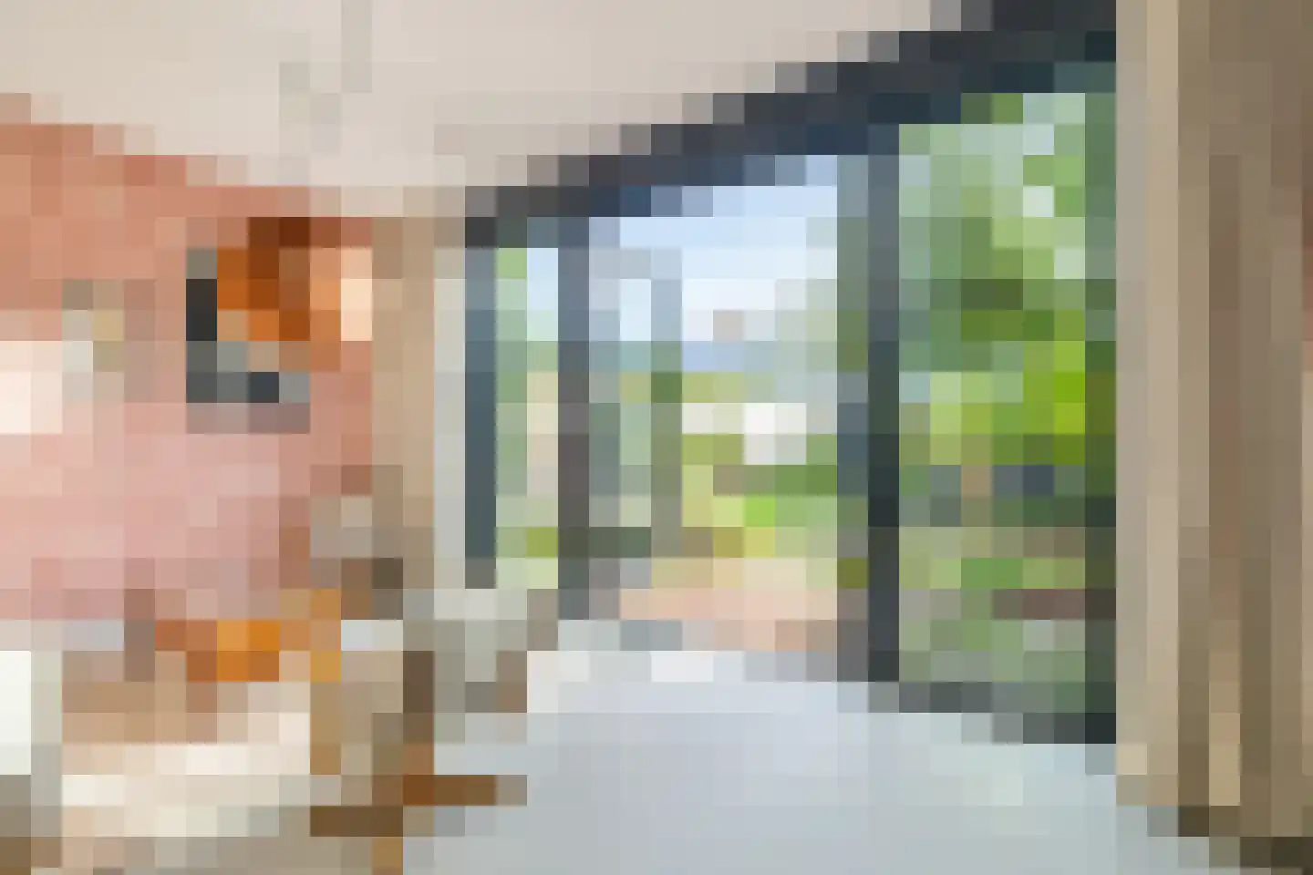 Paula Koppelaarstraat 11 Breda thumbnail 23