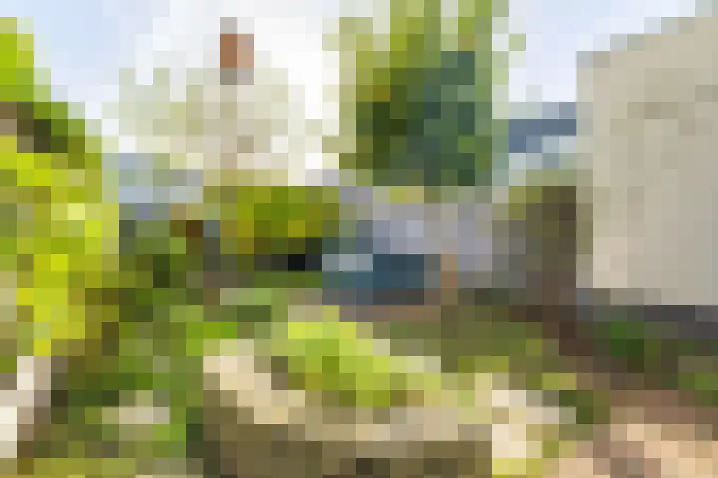Paula Koppelaarstraat 11 Breda thumbnail 52