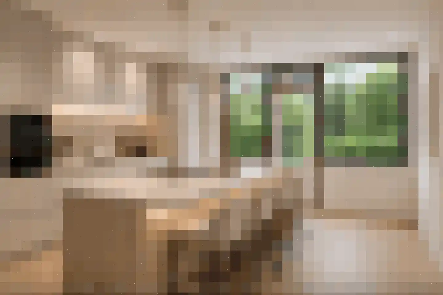 Paulaland 26 Den Haag thumbnail 10
