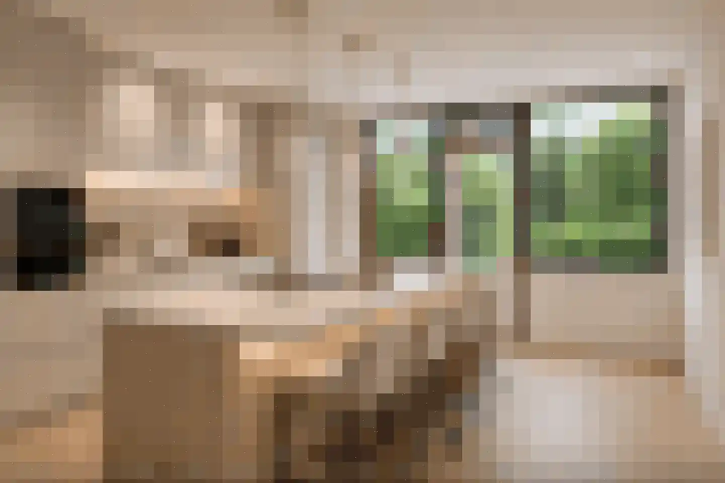 Paulaland 26 Den Haag thumbnail 11