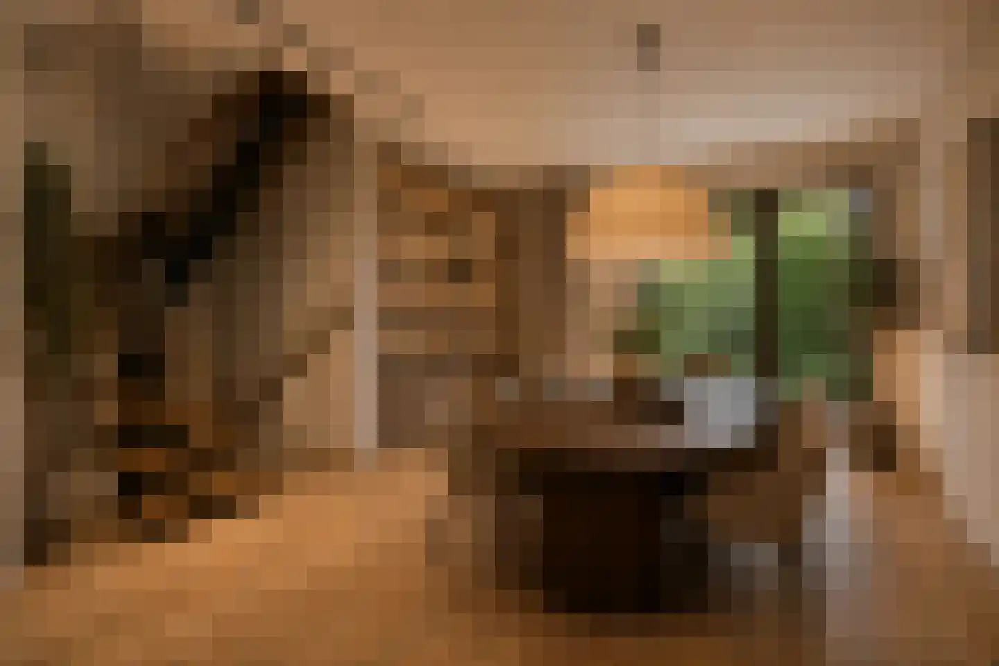 Paulaland 26 Den Haag thumbnail 12