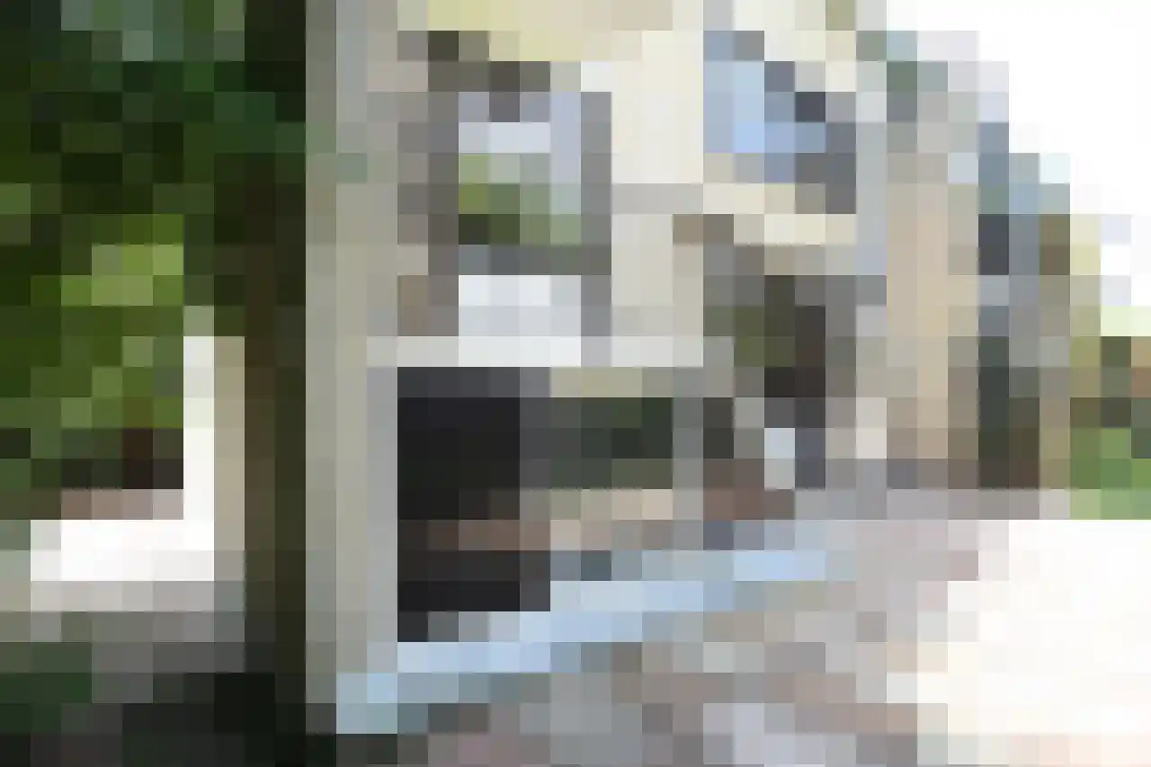 Paulaland 28 Den Haag thumbnail 15
