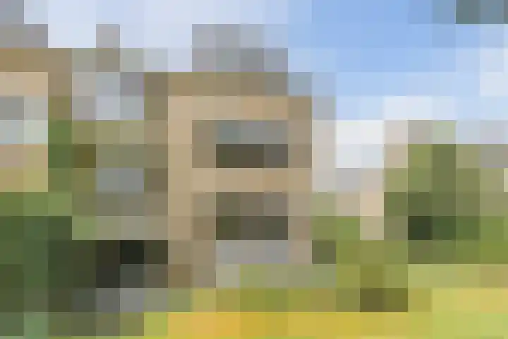 Paulaland 8 Den Haag thumbnail 16
