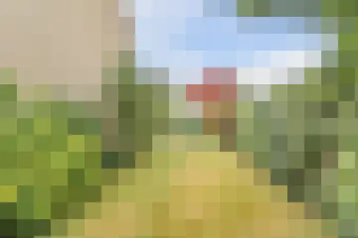 Paulaland 8 Den Haag thumbnail 17