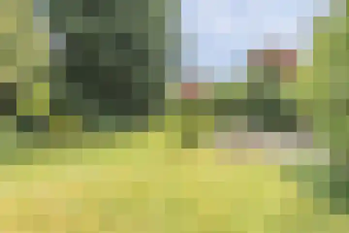 Paulaland 8 Den Haag thumbnail 18