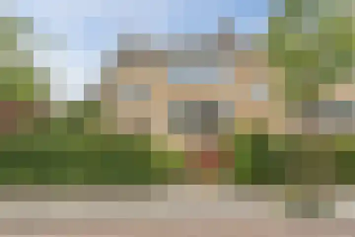 Paulaland 8 Den Haag thumbnail 5