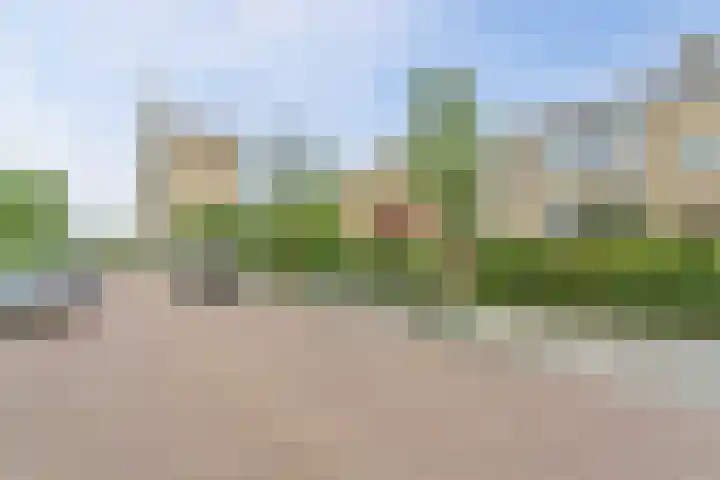 Paulaland 8 Den Haag thumbnail 51
