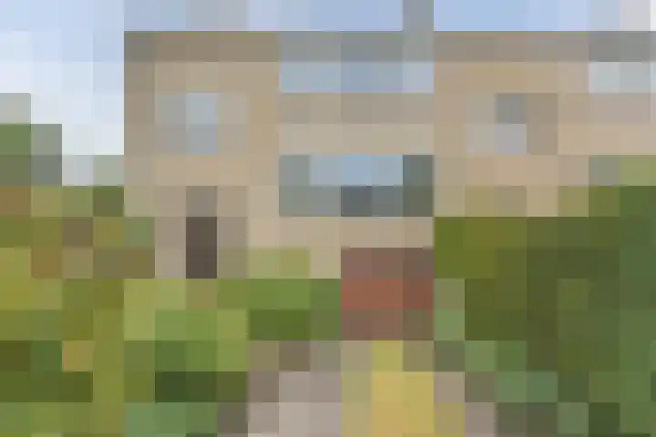 Paulaland 8 Den Haag thumbnail 6
